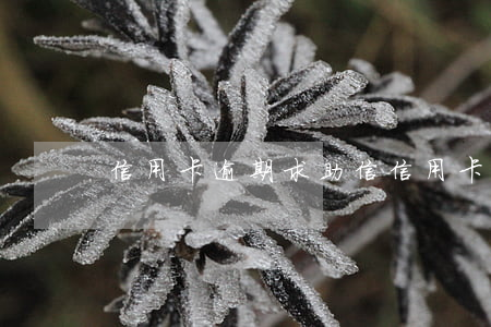 信用卡逾期求助信(信用卡逾期求助信怎么寫)