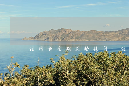 信用卡逾期求助提问-信用卡逾期求助提问