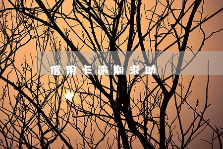 信用卡逾期 求助螞蟻