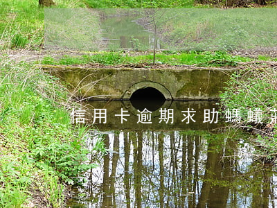 信用卡逾期求助螞蟻莊園