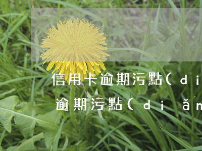 信用卡逾期污點(diǎn)怎么解 信用卡逾期污點(diǎn)怎么解