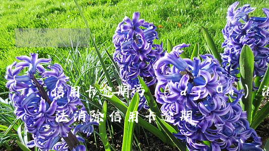 信用卡逾期污點(diǎn)消除(有什么辦法消除信用卡逾期記錄)
