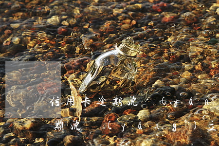 信用卡逾期沈陽(yáng)立案(信用卡逾期沈陽(yáng)立案標(biāo)準(zhǔn))
