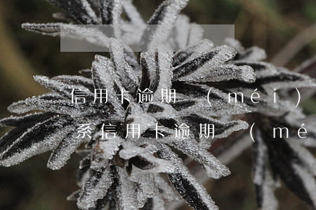 信用卡逾期沒(méi)人聯(lián)系 信用卡逾期沒(méi)人聯(lián)系我