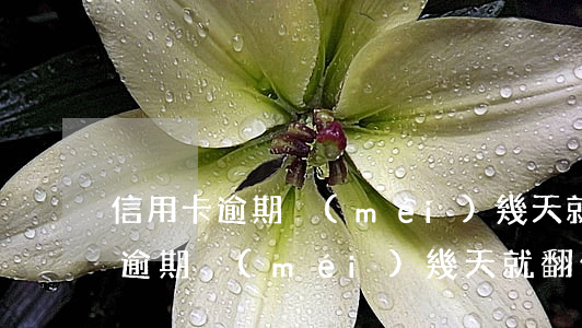 信用卡逾期沒(méi)幾天就翻倍(信用卡逾期沒(méi)幾天就翻倍)
