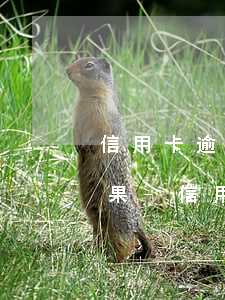 信用卡逾期沒(méi)有能力償還法律后果-信用卡逾期沒(méi)有能力償還法律后果是什么