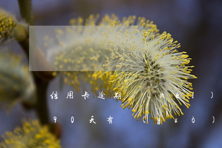 信用卡逾期沒(méi)有超過(guò)90天(有過(guò)90天以上逾期要等多久才能申請(qǐng)信用卡)