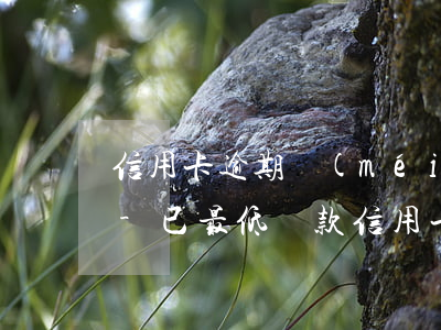 信用卡逾期沒(méi)有還夠最低還款額-已最低還款信用卡還算不算逾期