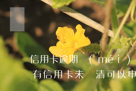 信用卡逾期沒(méi)有還清房貸怎么辦 有信用卡未還清可以申請(qǐng)房貸嗎