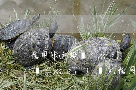 信用卡逾期沒(méi)有還能分期嗎(分期沒(méi)還完信用卡到期了)
