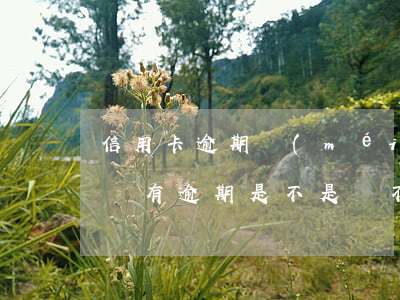 信用卡逾期沒(méi)法再辦理信用卡了嗎(有逾期是不是辦不了信用卡)
