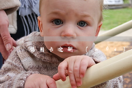 信用卡逾期沒(méi)漲利息