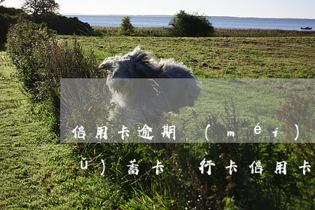 信用卡逾期沒(méi)綁定同行儲(chǔ)蓄卡 銀行卡信用卡逾期