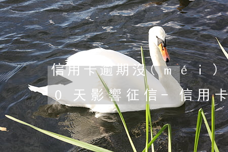 信用卡逾期沒(méi)超過(guò)90天影響征信-信用卡逾期沒(méi)超過(guò)90天影響征信嗎