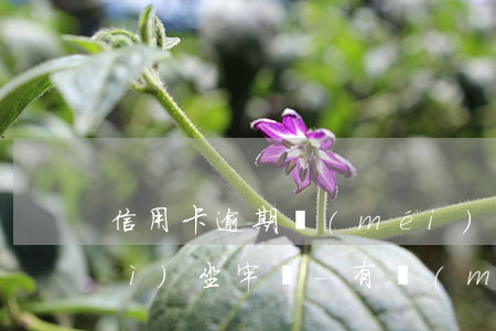 信用卡逾期沒(méi)還上真的會(huì)坐牢嗎-有沒(méi)有信用卡逾期坐牢的