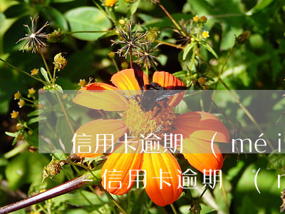 信用卡逾期沒(méi)還可以辦銀行卡嗎-信用卡逾期沒(méi)還可以辦銀行卡嗎