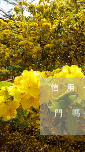 信用卡逾期沒(méi)還會(huì)上門嗎(欠信用卡過(guò)年會(huì)不會(huì)上門)