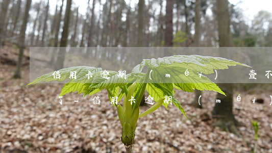 信用卡逾期沒(méi)還查不了欠款金額了-信用卡逾期沒(méi)還查不了欠款金額了怎么辦