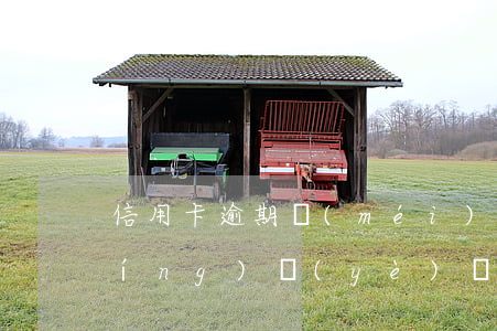 信用卡逾期沒(méi)還能不能辦營(yíng)業(yè)執(zhí)照-信用卡逾期沒(méi)還能不能辦營(yíng)業(yè)執(zhí)照了
