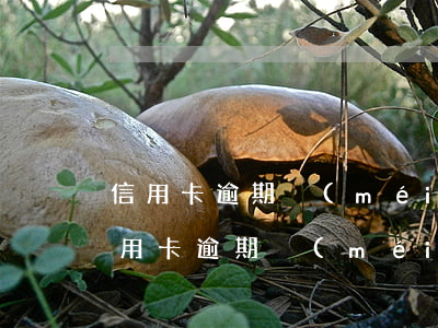 信用卡逾期沒(méi)還能考駕照嗎-信用卡逾期沒(méi)還能考駕照嗎
