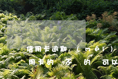 信用卡逾期沒(méi)還能買社保嗎(欠信用卡的錢不還的還可以買保險(xiǎn)嗎)