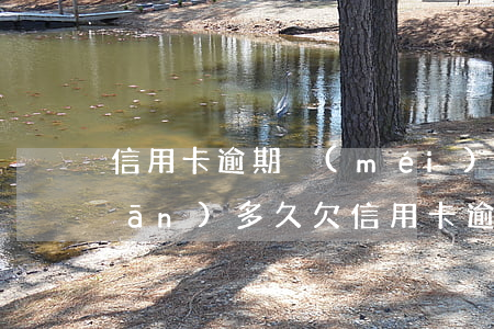 信用卡逾期沒(méi)還被抓要關(guān)多久(欠信用卡逾期幾個(gè)月會(huì)立案)