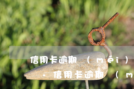 信用卡逾期沒(méi)還還可以辦銀行卡嗎-信用卡逾期沒(méi)還還可以辦銀行卡嗎?