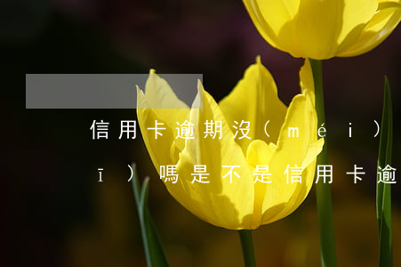 信用卡逾期沒(méi)還還能坐飛機(jī)嗎 是不是信用卡逾期了就不能坐飛機(jī)了