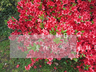 信用卡逾期沒(méi)錢(qián)還一直拖(信用卡逾期沒(méi)還有什么后果)