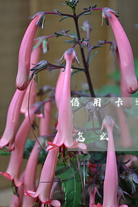 信用卡逾期沒(méi)錢(qián)還怎么補(bǔ)救-欠信用卡逾期確實(shí)沒(méi)能力還怎么辦