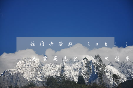 信用卡逾期沒(méi)錢(qián)還急要死怎么辦-欠信用卡逾期確實(shí)沒(méi)能力還怎么辦