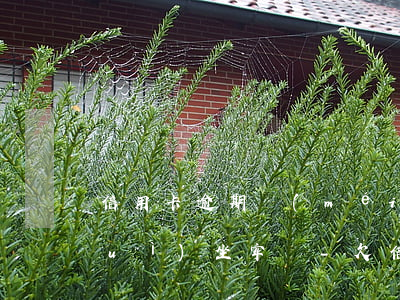 信用卡逾期沒(méi)錢還怎么辦會(huì)坐牢嗎-欠信用卡逾期確實(shí)沒(méi)能力還怎么辦
