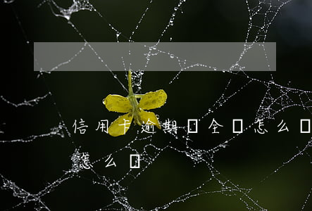 信用卡逾期沒全還怎么辦(信用卡逾期沒全還怎么辦)