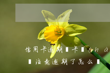 信用卡逾期沒卡號(hào)怎么還(信用卡沒注意逾期了怎么辦)