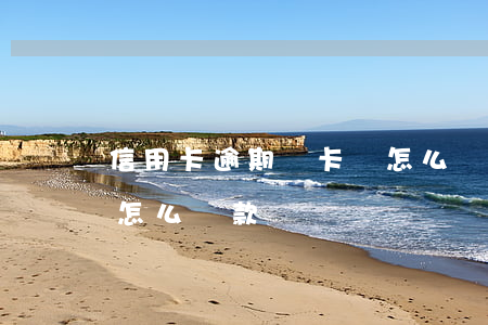信用卡逾期沒卡號怎么還(信用卡逾期沒卡號怎么還款)