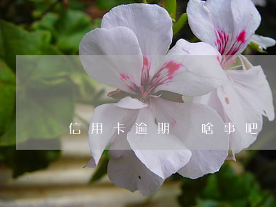 信用卡逾期沒啥事吧