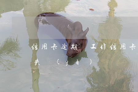 信用卡逾期沒工作(信用卡逾期沒工作也沒有失業(yè)證)