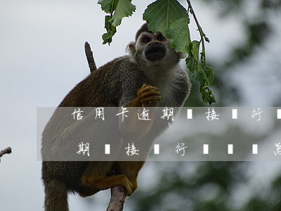 信用卡逾期沒接銀行電話會怎樣-信用卡逾期沒接銀行電話會怎樣處理