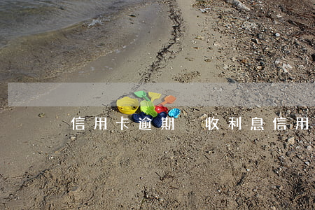 信用卡逾期沒收利息(信用卡 逾期利息)