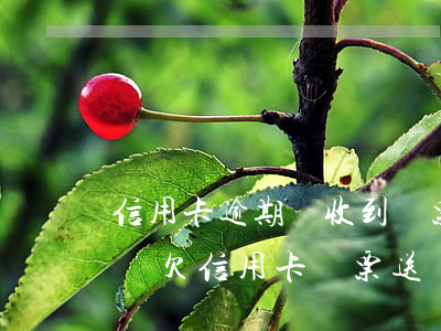 信用卡逾期沒收到傳票可以執(zhí)行嗎(欠信用卡傳票送達(dá)后多久開庭,不去可以嗎)