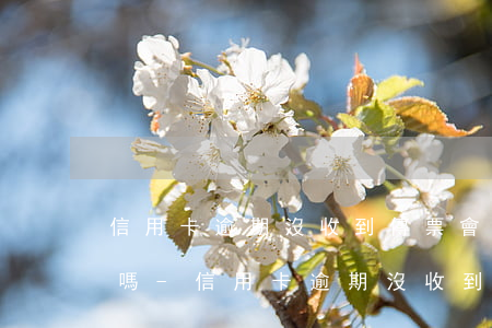 信用卡逾期沒收到傳票會(huì)被拘留嗎-信用卡逾期沒收到傳票會(huì)被拘留嗎知乎