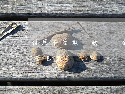 信用卡逾期沒收遲納金(信用卡逾期沒收遲納金怎么辦)