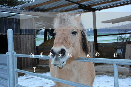 信用卡逾期沒月都還(你們的信用卡逾期多久了)