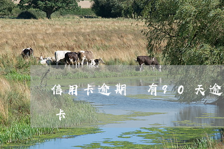 信用卡逾期沒有90天(逾期90天以上信用卡賬戶)