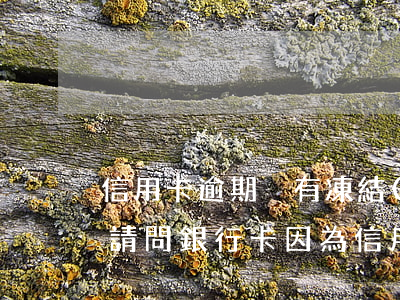 信用卡逾期沒有凍結(jié)卡怎么辦-請問銀行卡因為信用卡逾期被凍結(jié)了怎么辦