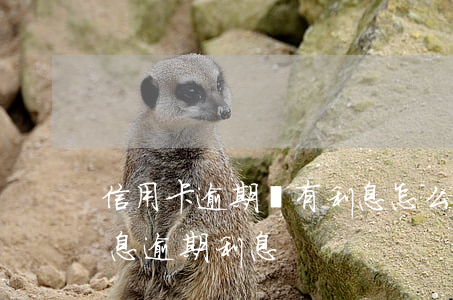 信用卡逾期沒有利息怎么回事(信用卡 逾期罰息 逾期利息)