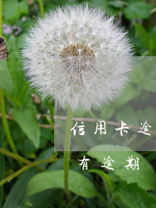 信用卡逾期沒有協(xié)議可以還款嗎(有逾期沒還能辦信用卡嗎)