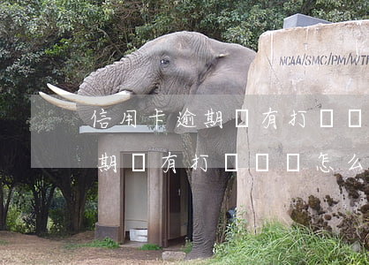 信用卡逾期沒有打電話會怎么樣-信用卡逾期沒有打電話會怎么樣嗎