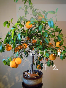 信用卡逾期沒有收到通知(我的信用卡逾期了為什么沒收到提醒)