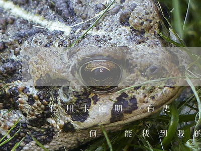 信用卡逾期沒有更換號碼(信用卡逾期換號碼了為何還能找到我的電話)